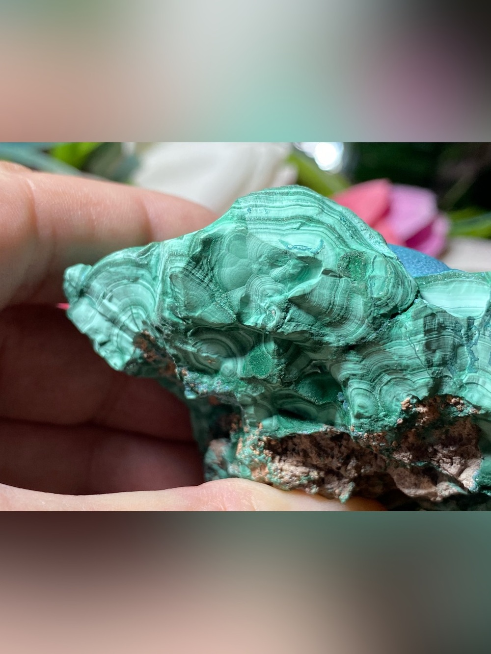 Large Botryoidal Malachite - Picture 9 of 16